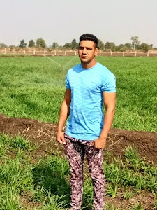 Malik kirshi farm sukhi sewaniya
