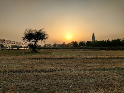 Talao