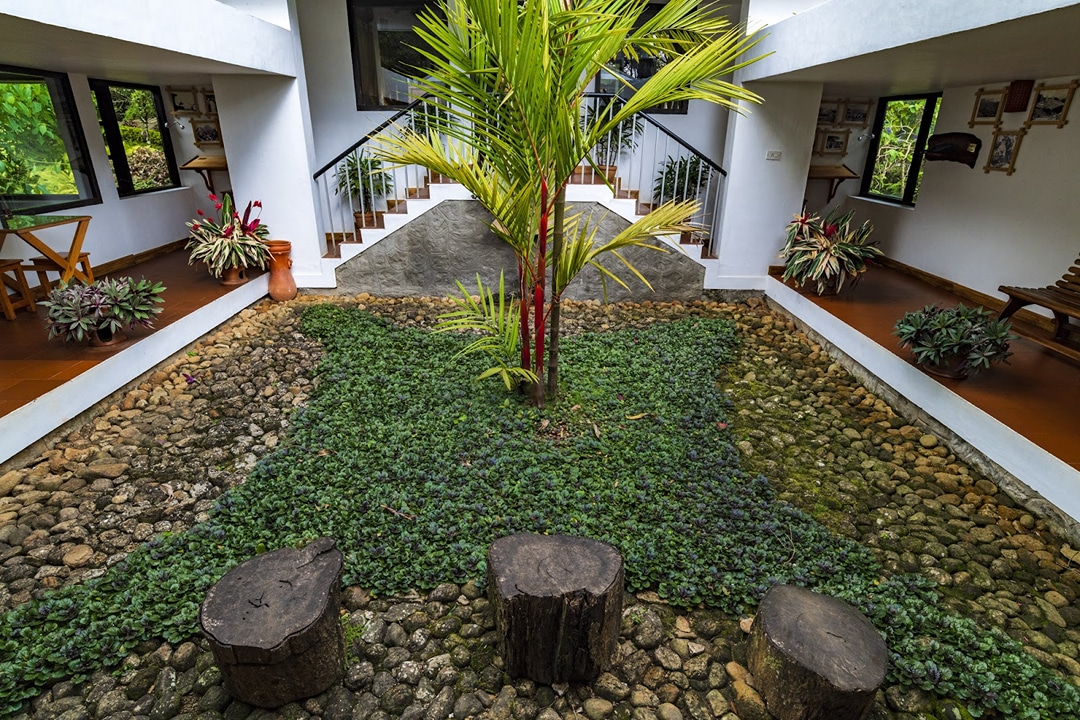 The Tall Trees Resorts