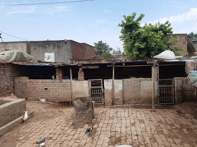 Vansh Farm goeda