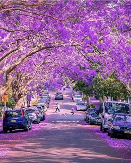 Swaroop Nagar