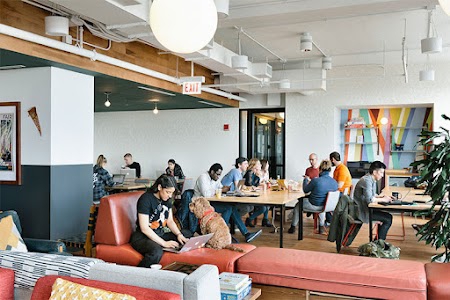 HexaSkills - Smart.Career.Hire