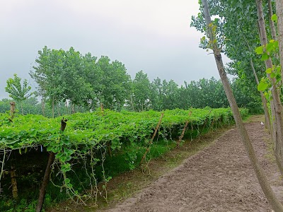 Sorab kumar