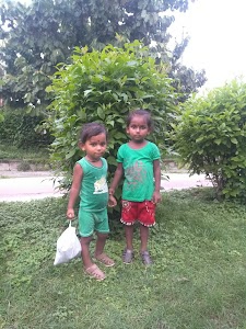 Penula Ramsen