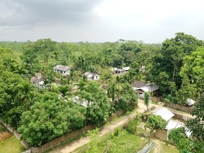 Tea garden