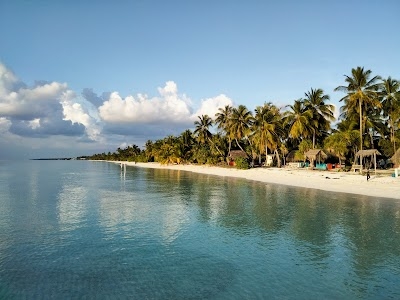 Bodamaga Athiri
