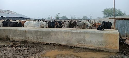 Baroli Chauth