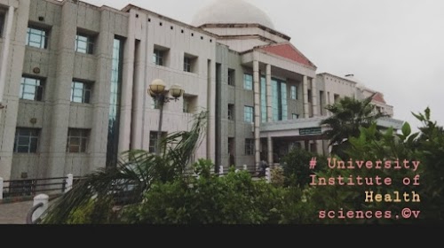University Institute Of Health Sciences