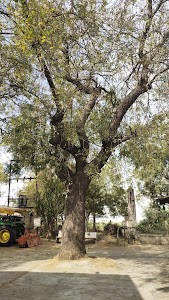 Odhavnagar Kampa
