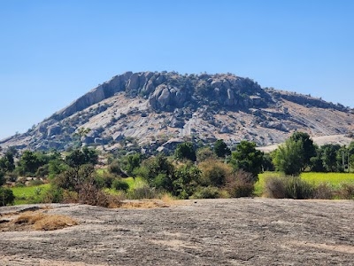 Jawai DMLS Safari