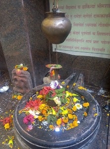 Amarkantak Herbals