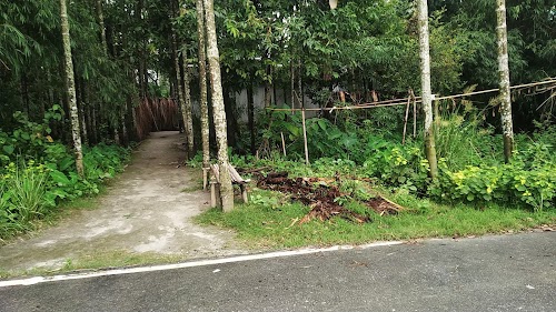 Mizanur Rahman house.