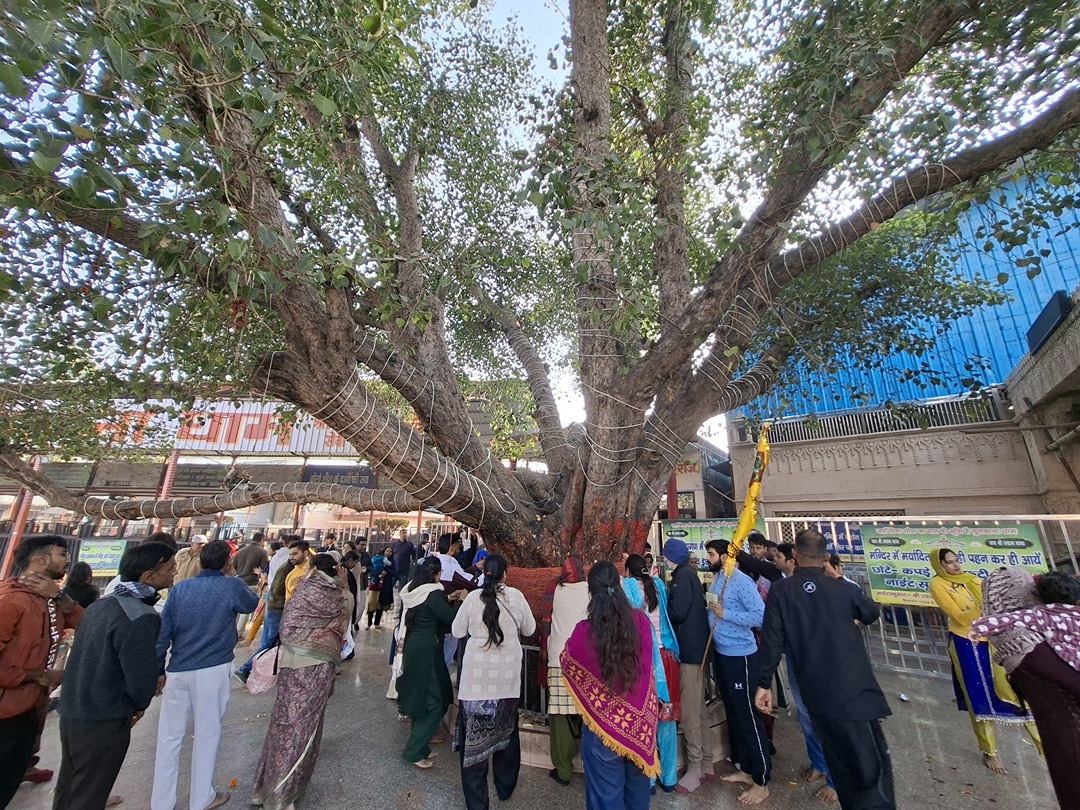 Chulkana Dham
