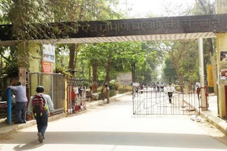 IERT Engineering Degree Division