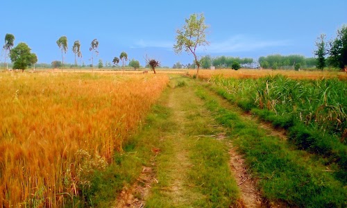 Sanjhak