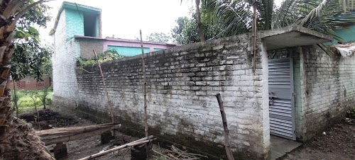 Kulberia