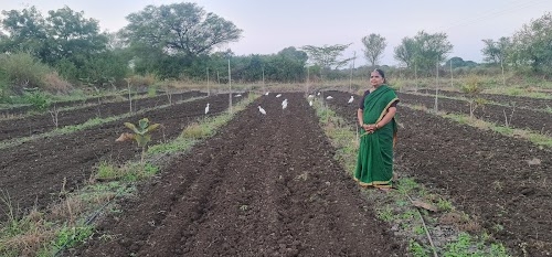 Varad Mango Farm