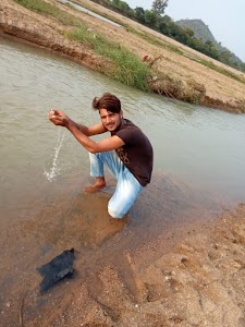 Radha Swami Dinod Ashram Kosi Kalan