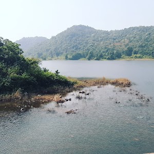 Kumardungi