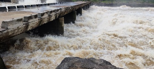 Nandur Madhymeshwar