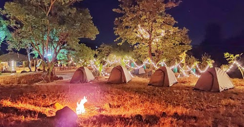 Forest Diaries