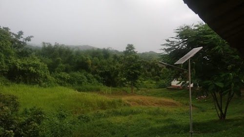 Yadav farm