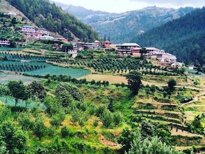 Kelvi