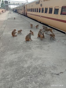 Mandawar ? rail station
