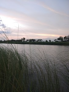 Dhumnagar