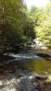 Smallwood