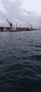 Chatham Island