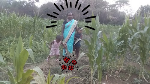 Patadi