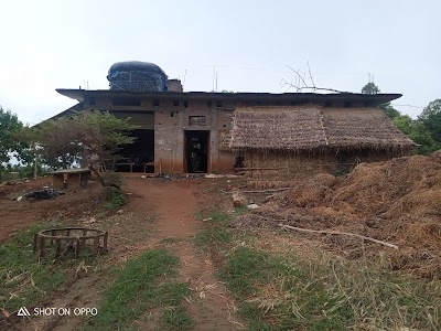 Matihani