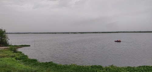 Harike Pattan Bus Stop