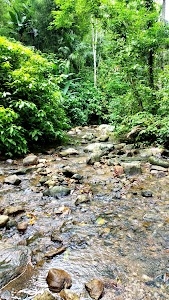 Picn ic Spot
