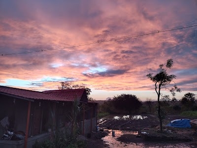 Vanpuri