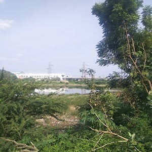 Kotturpuram