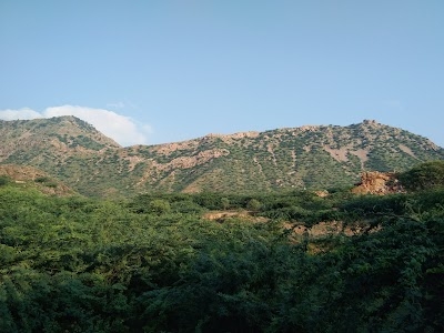Chahar Dairy Farm House