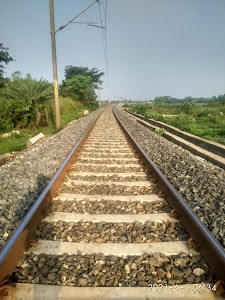 Bakar Kuri