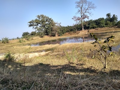 Kolipasi