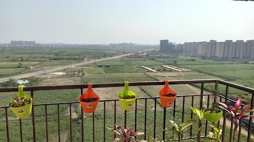Bahadurgarh