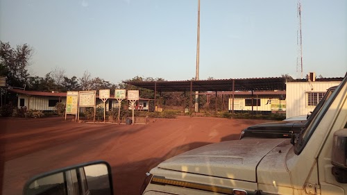 Jaroli