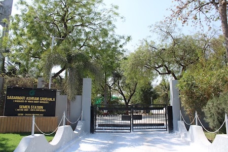 Sabarmati Ashram Gaushala, Bidaj