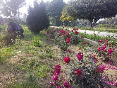 PHOOL BAGH