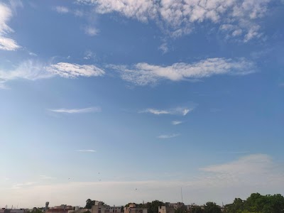 Moti Nagar