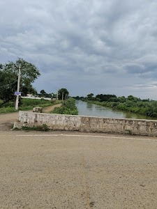 Koraon