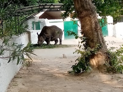 Zoo