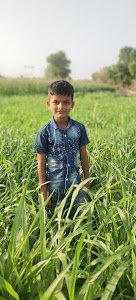 Songaron Ki Dhani