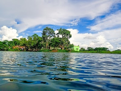 Paunan