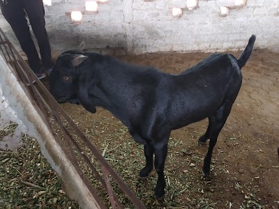 NATIONAL GOAT FARMING REWRAL
